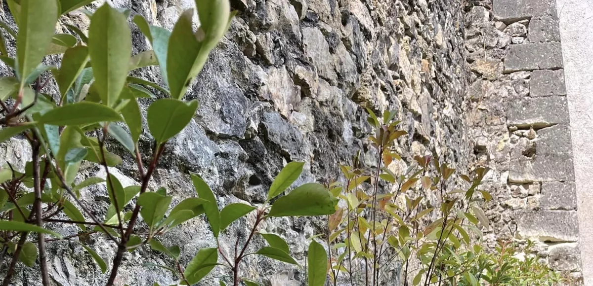 Conception paysagère en indre et Loire