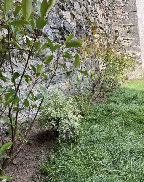 Conception paysagère à Tours et Fondettes (37) 